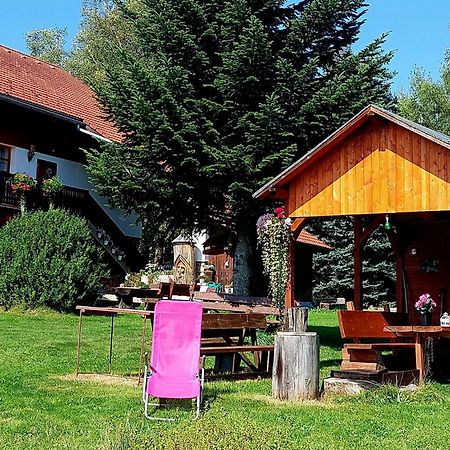Pokoje v šumavském domě Nove Hute Exteriér fotografie