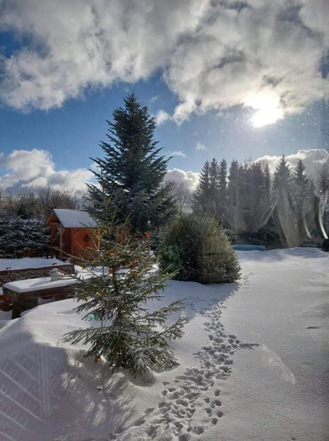 Pokoje v šumavském domě Nove Hute Exteriér fotografie