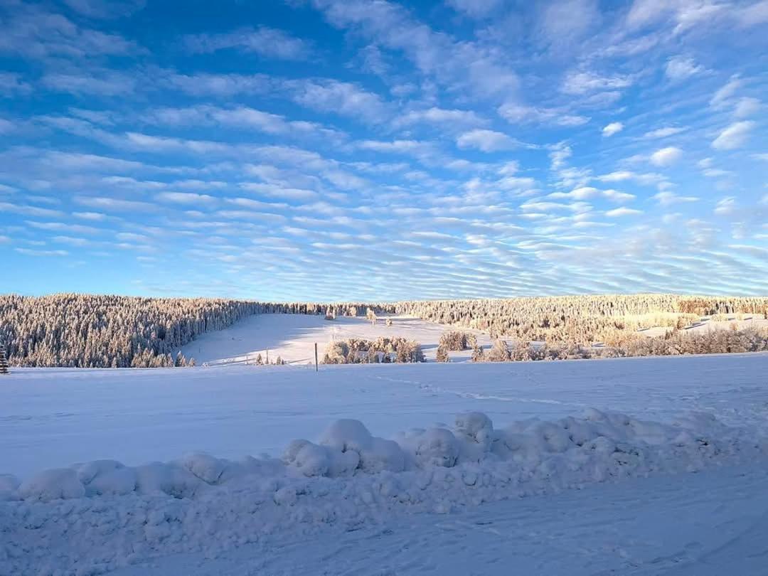 Pokoje v šumavském domě Nove Hute Exteriér fotografie