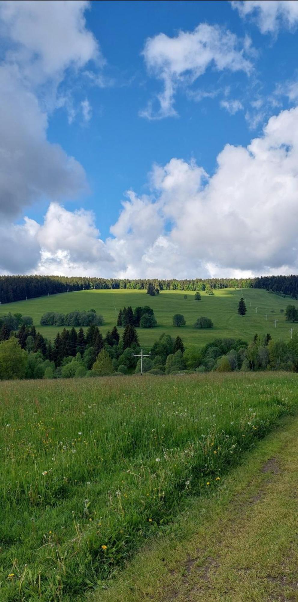 Pokoje v šumavském domě Nove Hute Exteriér fotografie
